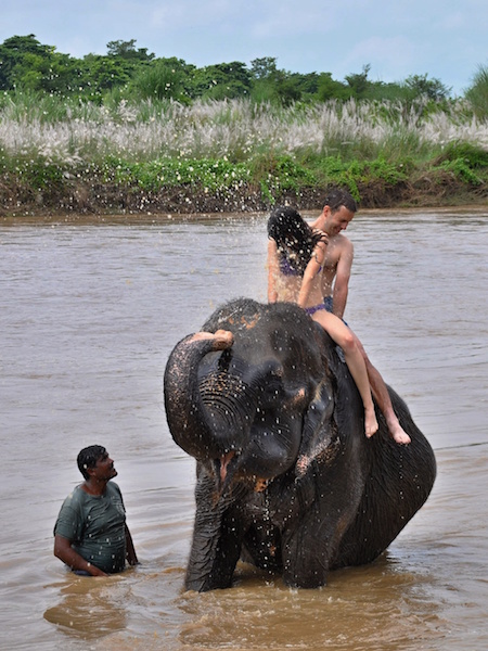 Koupání slonů v NP Chitwan