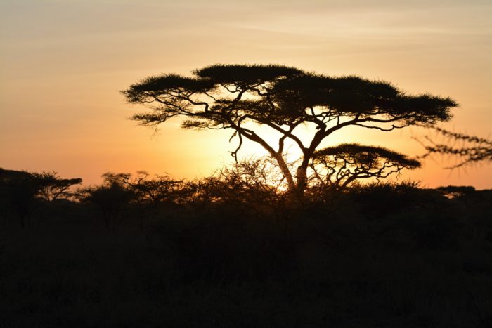 Východ slunce v národním parku Serengeti