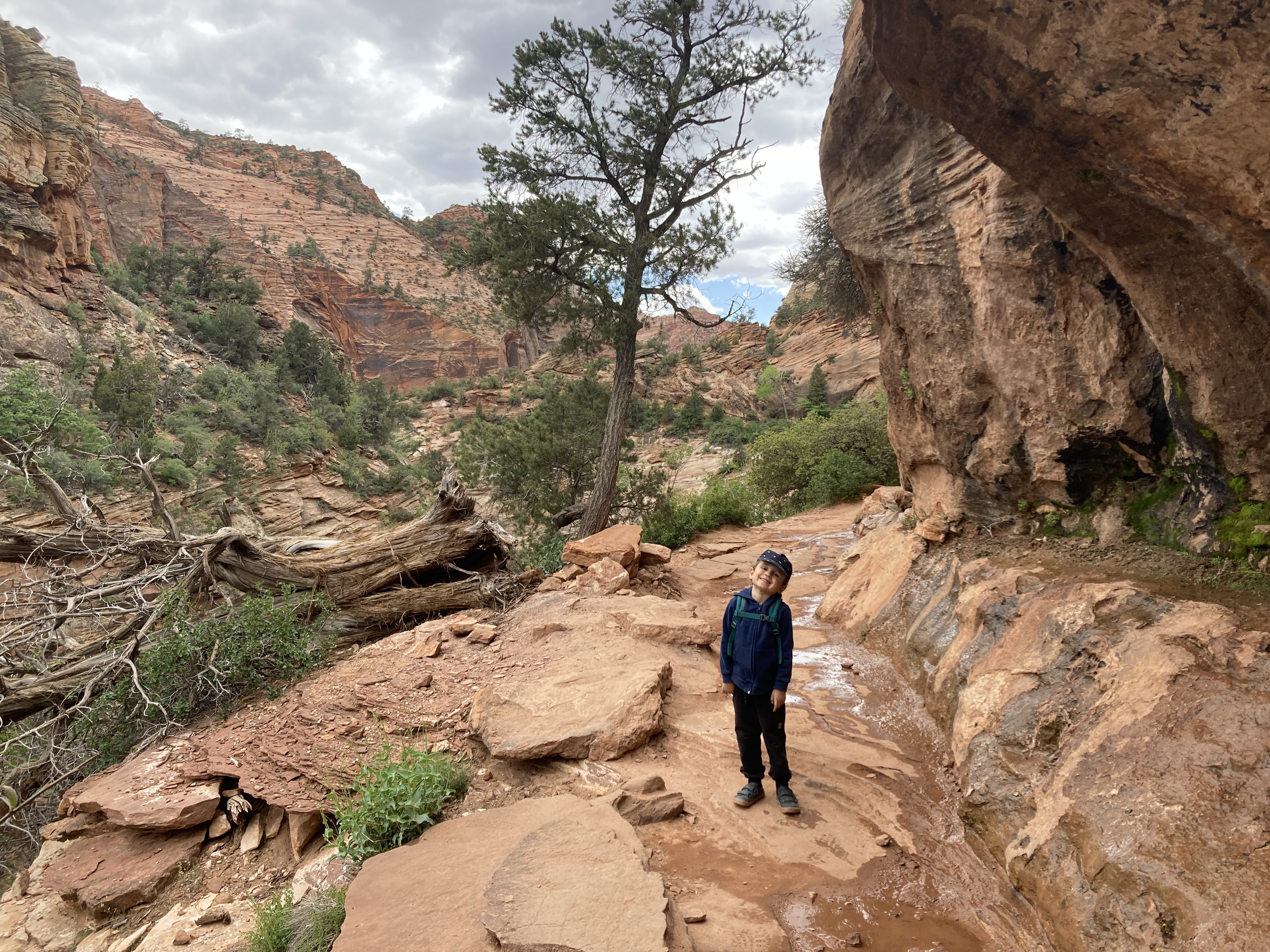 The Zion Canyon Overlook Trail 